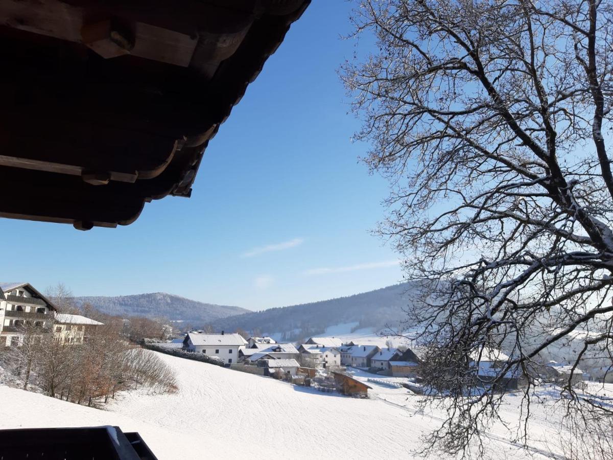 Ferienwohnung Freudensee Im Bayerischen Wald - Pool, Sauna Hauzenberg Esterno foto